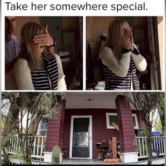 Meet Winter!!! The lilac point Siamese mix - Picture 8 of 16